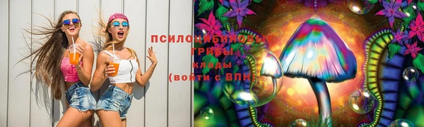 ГАЛЛЮЦИНОГЕННЫЕ ГРИБЫ Белокуриха