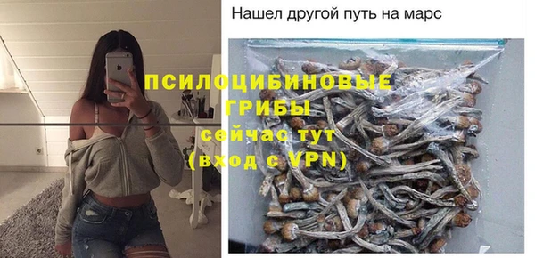 ГАЛЛЮЦИНОГЕННЫЕ ГРИБЫ Белокуриха