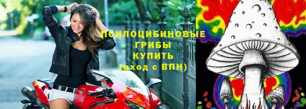 ГАЛЛЮЦИНОГЕННЫЕ ГРИБЫ Белокуриха