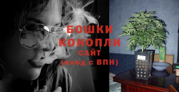 ГАЛЛЮЦИНОГЕННЫЕ ГРИБЫ Белокуриха