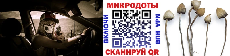 Галлюциногенные грибы мицелий  Яблоновский 