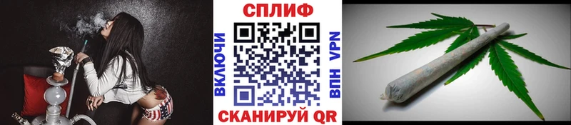 Каннабис гибрид  Яблоновский 